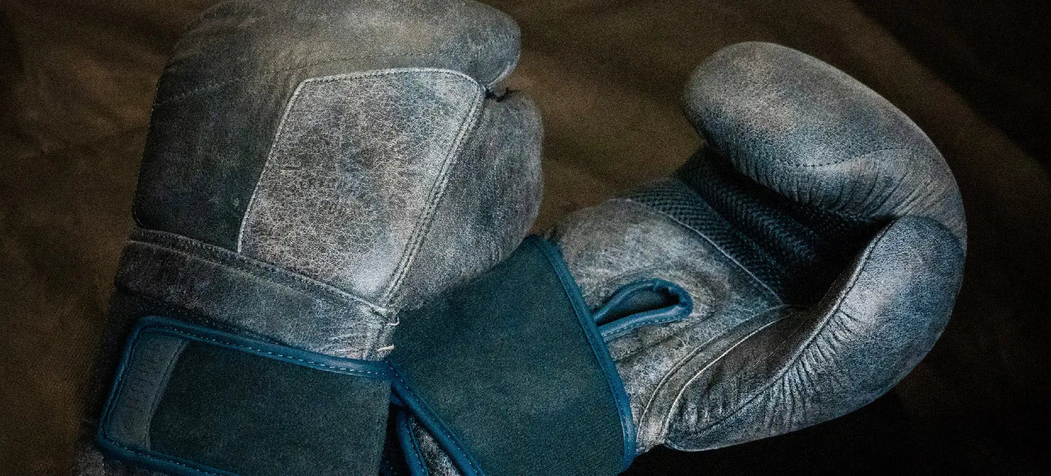 Gloves Legends Boxing Gear