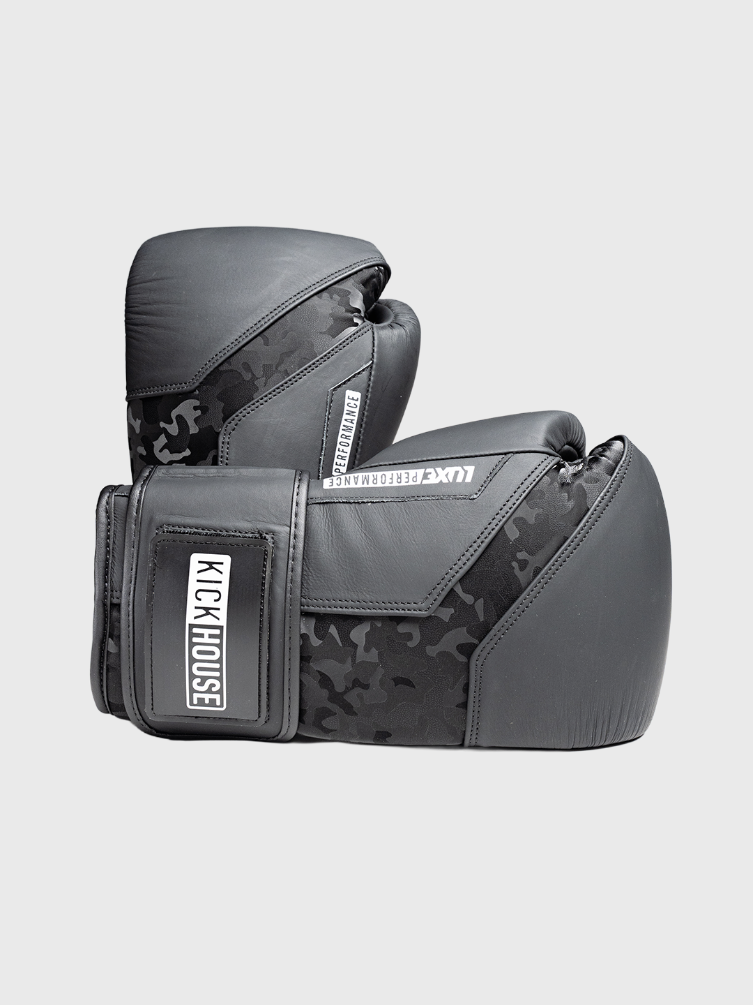 LTE Luxe Gloves Boxing Gear