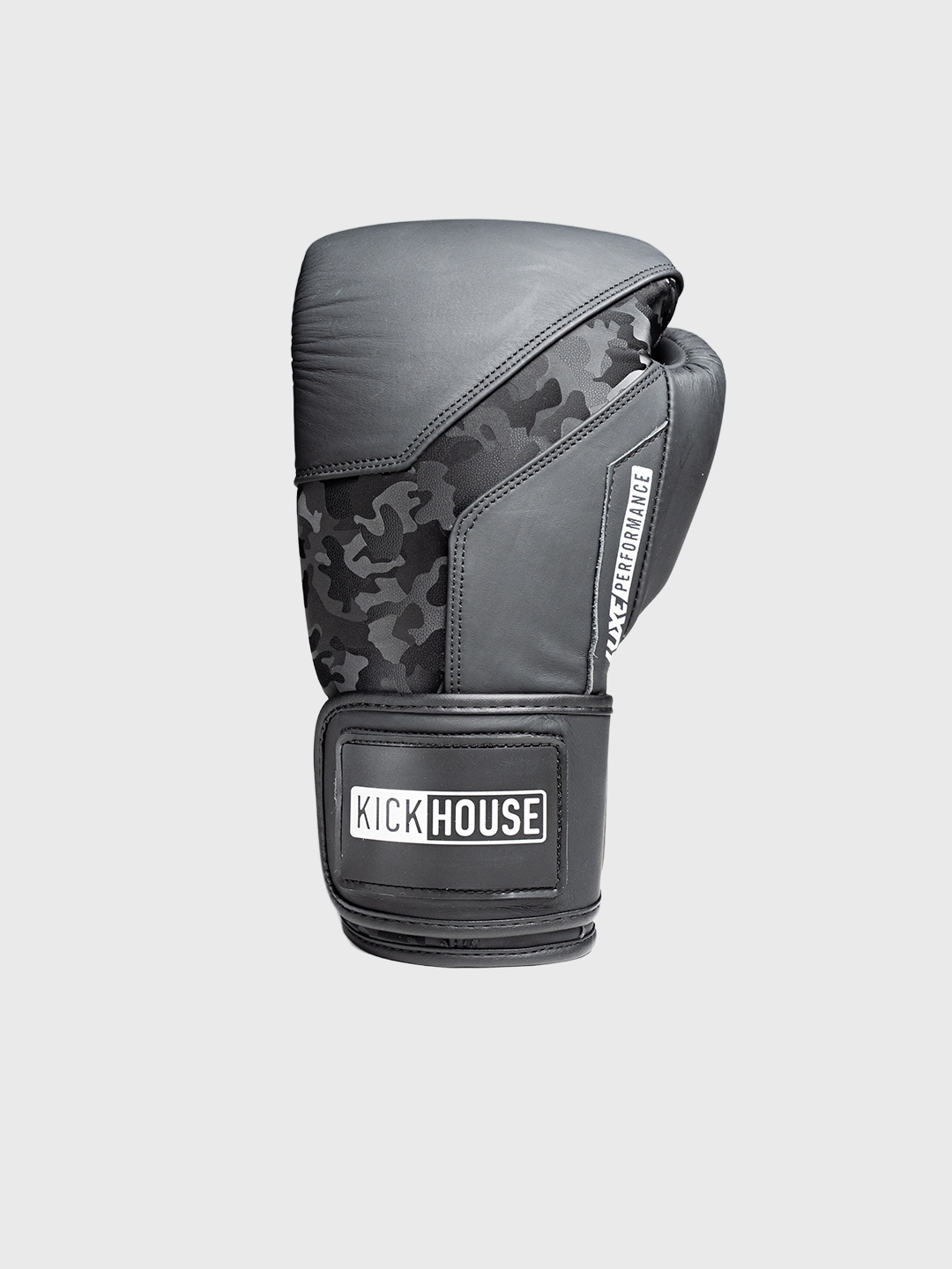 LTE Luxe Gloves Boxing Gear