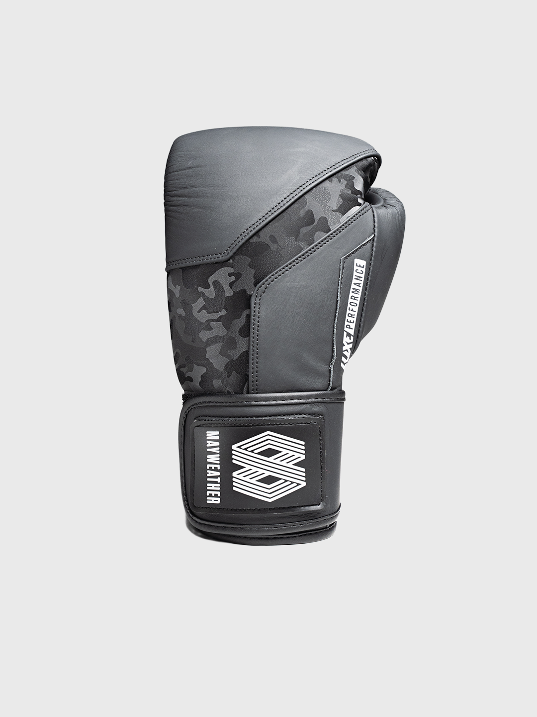 LTE Luxe Gloves Boxing Gear