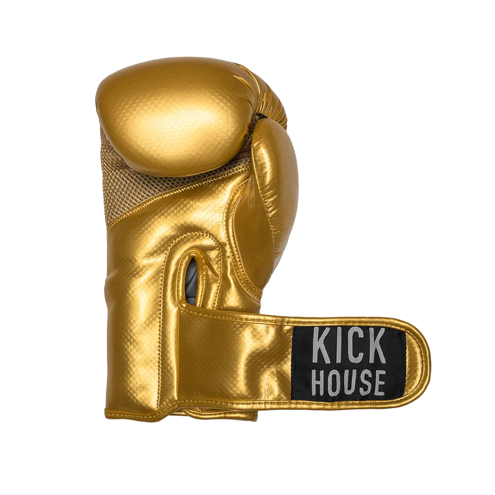Starter Boxing Gloves - 16oz KickHouse Edition Gloves