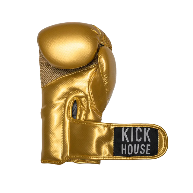 Starter Boxing Gloves - 16oz KickHouse Edition Gloves