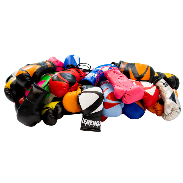 Legends Mini Boxing Gloves   Miscellaneous