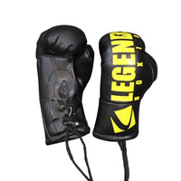 Legends Mini Boxing Gloves