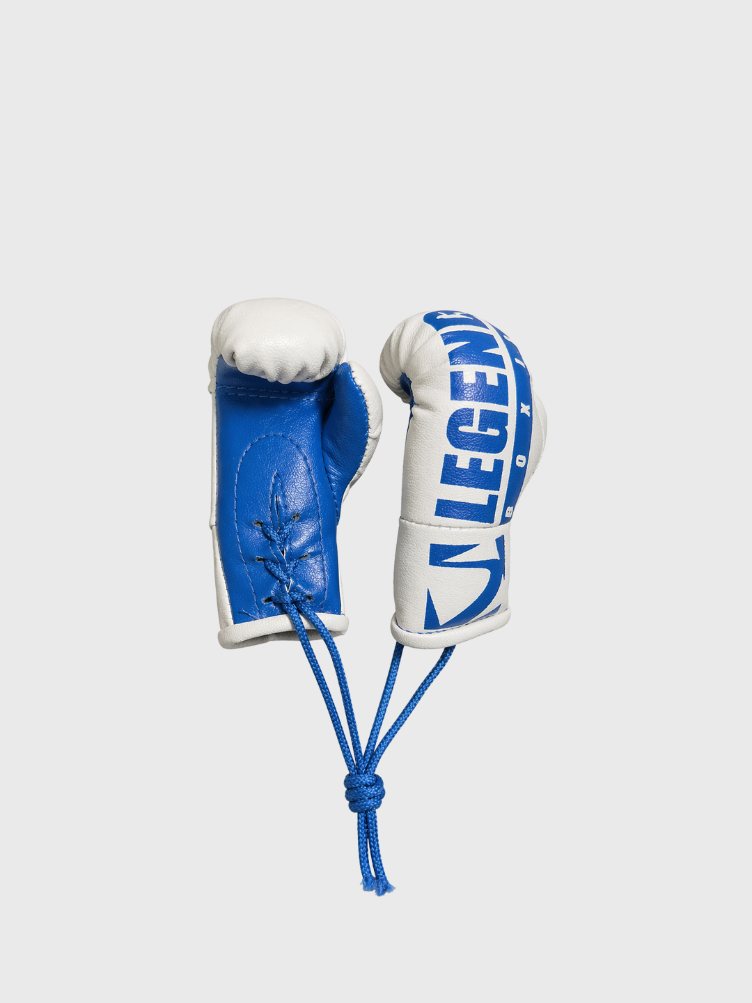 LB Mini Boxing Gloves