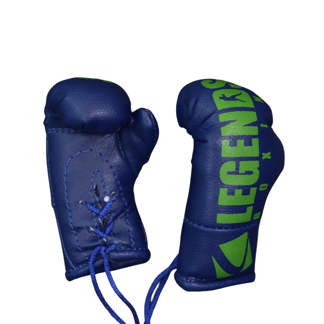 Legends Mini Boxing Gloves