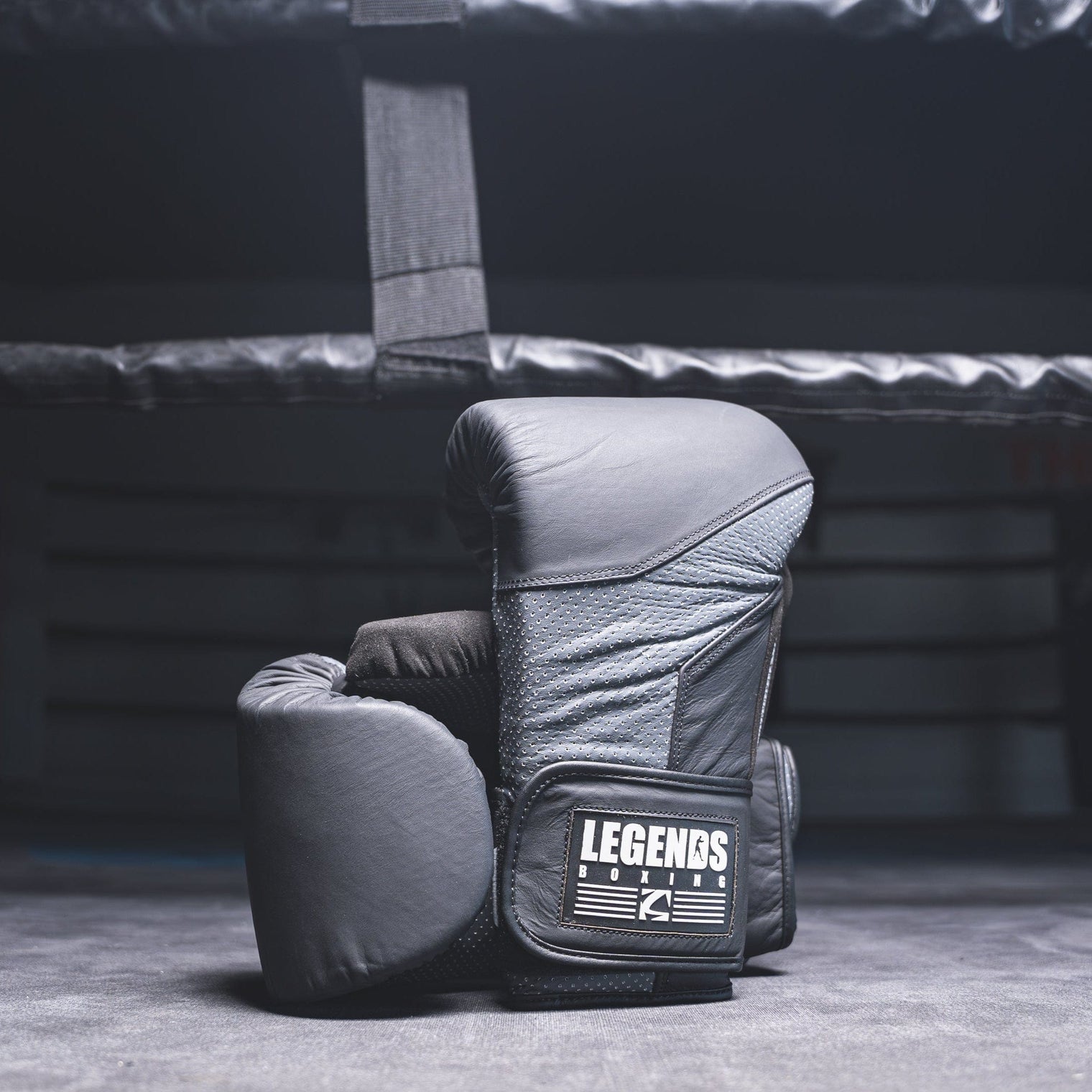 Luxe Boxing Glove