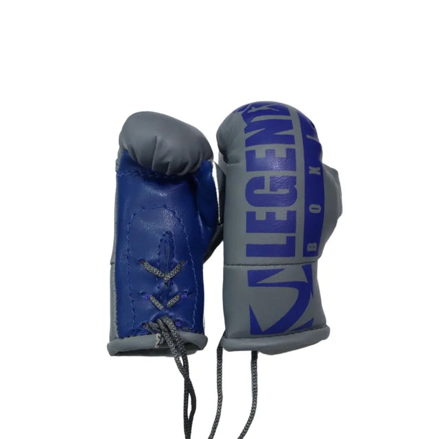 Legends Mini Boxing Gloves   Miscellaneous