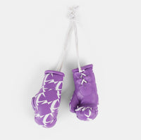 Legends Mini Boxing Gloves