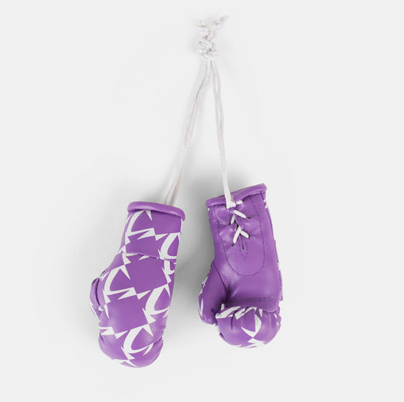 Legends Mini Boxing Gloves