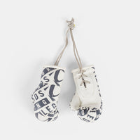 Legends Mini Boxing Gloves