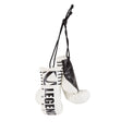 Legends Mini Boxing Gloves Mati International