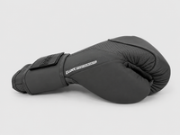 Luxe LTE Boxing Gloves Matte Series - 4 Colorways