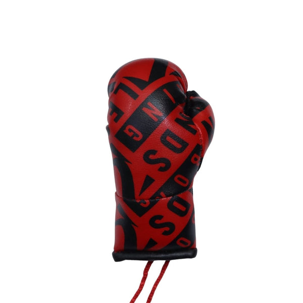 Legends Mini Boxing Gloves
