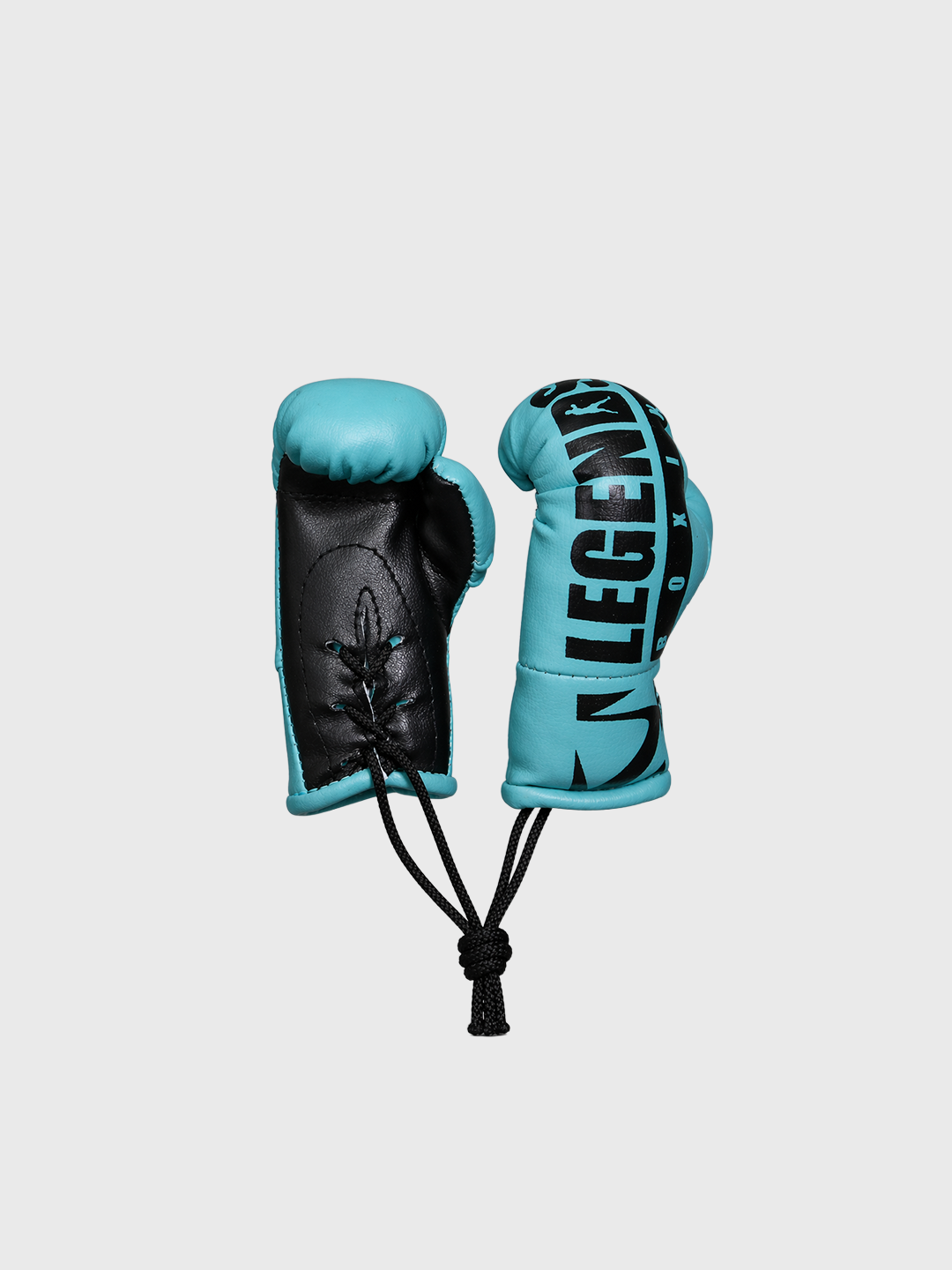 LB Mini Boxing Gloves
