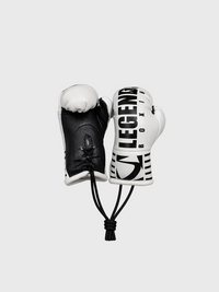 LB Mini Boxing Gloves