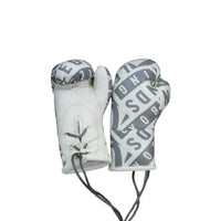 Legends Mini Boxing Gloves  White-Gray-Bold-Repeat Miscellaneous