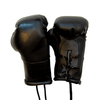 Legends Mini Boxing Gloves