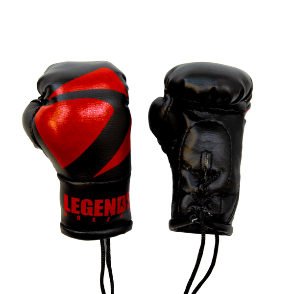 Legends Mini Boxing Gloves