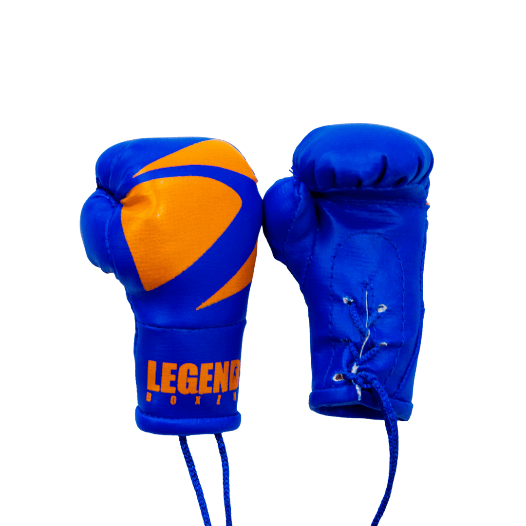 Legends Mini Boxing Gloves