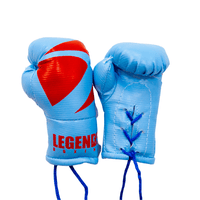 Legends Mini Boxing Gloves