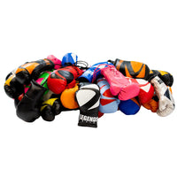 Legends Mini Boxing Gloves   Miscellaneous