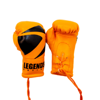 Legends Mini Boxing Gloves
