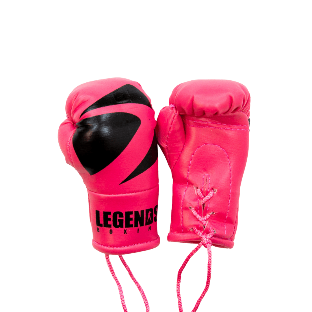 Legends Mini Boxing Gloves