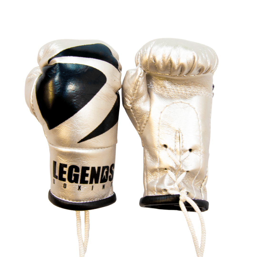 Legends Mini Boxing Gloves