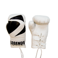 Legends Mini Boxing Gloves
