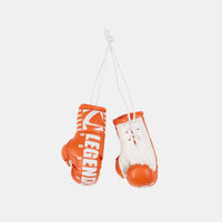 Legends Mini Boxing Gloves