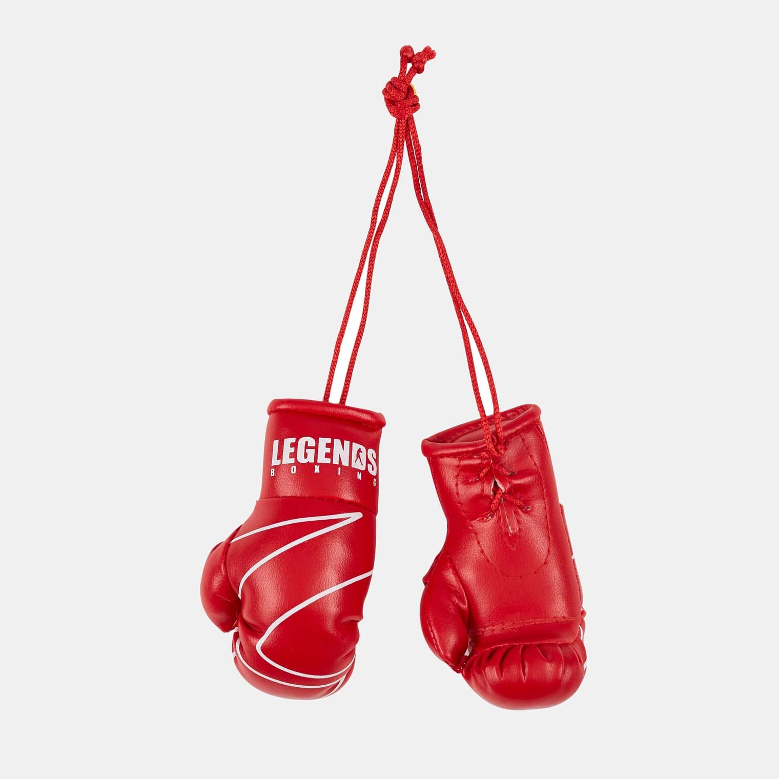 Legends Mini Boxing Gloves
