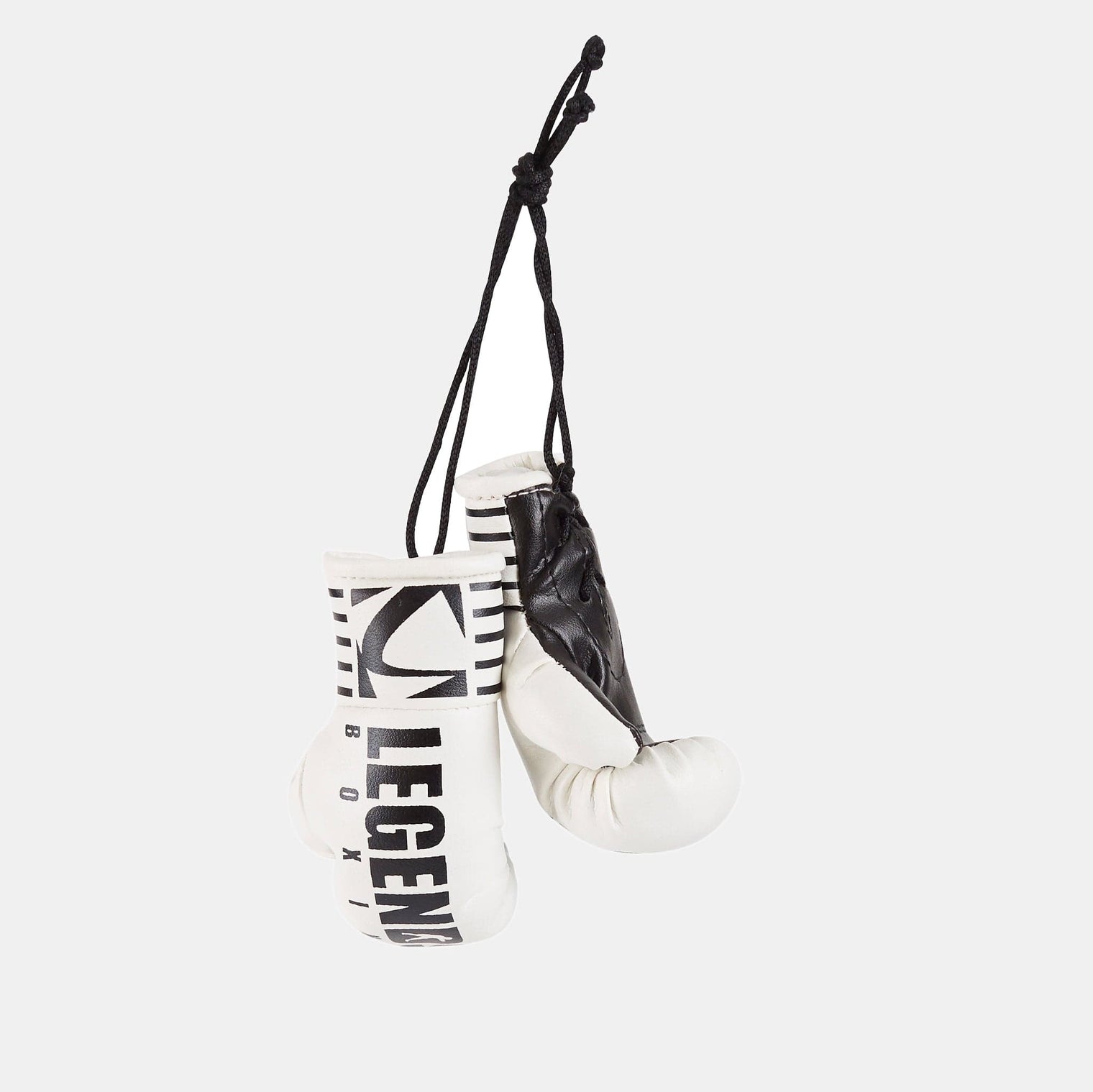 Legends Mini Boxing Gloves